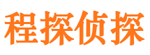 田东市私人调查